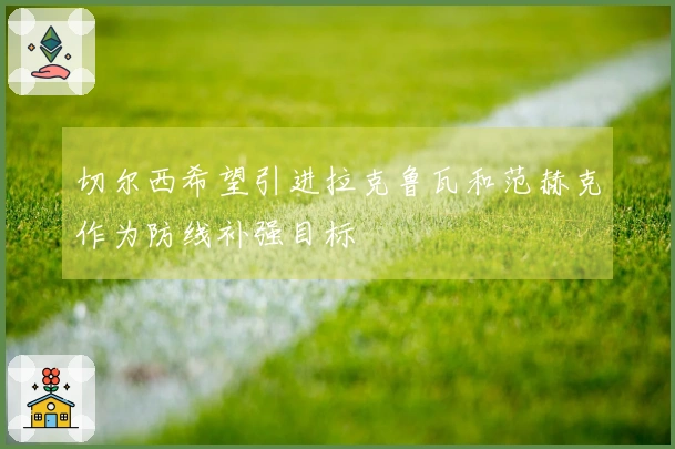 切尔西希望引进拉克鲁瓦和范赫克作为防线补强目标